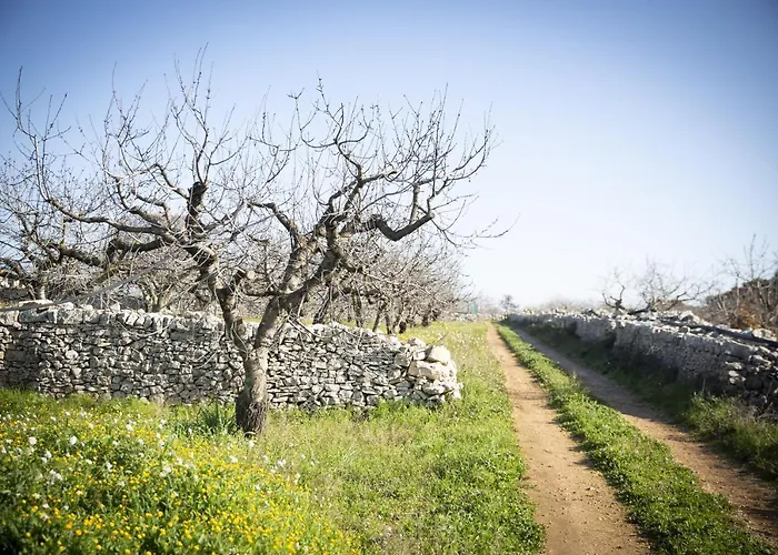 B&B Masseria Serri